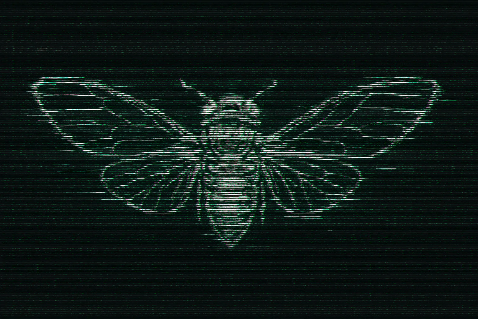 cicada3301